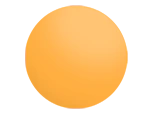 7 Base Single Vision Polycarbonate Shield Rx Lenses - Image 3