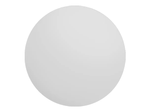 Rx Solid Lens Mirrors - Image 7